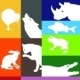 Tiere