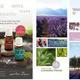 Young Living Essential Oils Art Direction