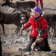 Sami people doing the calf marking