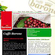 CMS Website, Caffe Barone