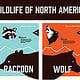 Wildlife of North America