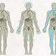 Fastencoach Illustrationen Organsysteme & Krankheitsbilder