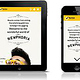 Norton Newphoria Responsive Website Concept