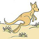 Illustration Känguruh
