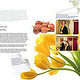 Annual Report 2 Advanzia