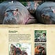 Zoo Berlin Web-Relaunch