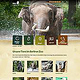 Screenshot – Textbeispiel Tier A-Z Tierpark Berlin