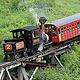 The Cog Railway