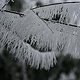 Winter auf dem Dilsberg