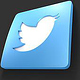 twitter button