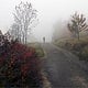 Radfahrer im Morgennebel