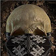 TNR „TheSkull“ //No Hat