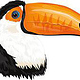 Toucan