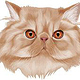 PersianCat
