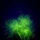 Laserbild „Photonic Nebula I“