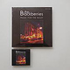 The Blackberries Debut Album – Cover und Booklet