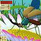 Insect Builder Spiel