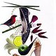 Werdich Schuhe Tüte veröffentlicht/Red Dot Design