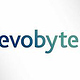 evobyte | Naming | Typedesign | Logodesign | Corporate Design