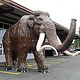 Das 4-Meter-Mammut