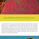 grafik und design round about print und web für www.achtsam-beruehrt-sein.de