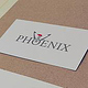 Signet / Logoentwicklung für die CI vom Phoenix Verlag (Studienprojekt)