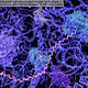 DNA, RNA, Nukleolus und verschiedene Enzyme im Zellkern