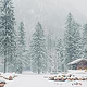 Naturfotografie im Winter – Zauberwald Berchtesgaden