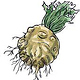 Kohlrabi-rein-web