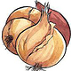 Zwiebeln-rein-web