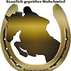Auftrag: Logo-Entwicklung