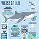 Infografik Hai