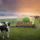 Dairy Crest – Country life butter motive