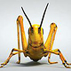 3D Grasshopper