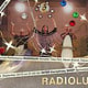 Flyer für Konzert von RADIOLUX