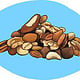 nuts illustration