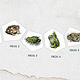 Illustration für interaktiven Screen, Ausstellung Frogs & Friends e.V