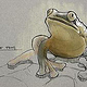 Illustrationen für Frogs & Friends e.V.