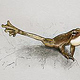 Winkerfrosch, Illustration für Ausstellung Frogs & Friends e.V
