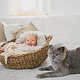 Newborn-Klitzeklein-Fotografin-Simone-Bauer