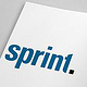 sprint  Sanierung