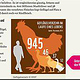 Infografik für die WWF Deutschland Seite (Wundermedia)