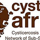 Corporate Desing Cystinet Africa