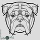 Splitterhunde – Bulldogge – Shop Design – DemonDogs