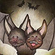 bats colour hq