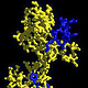 Prolyl-cis-trans-Isomerase