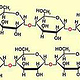 Schematische Darstellung der Strukturformel von Stärke