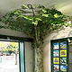 Blickfangdisplay „Baum“ im ZOOSHOP des Tiergartens Schönbrunn – von der Natur inspiriert