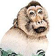 Logo für das Macaca Nemestrina Project in Malaysia