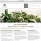 Erstlingswerk: Corporate Design und Homepage